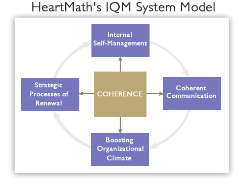 IQM Model