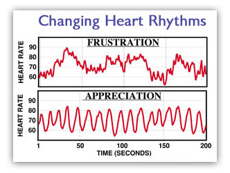 Changing Heart Rhythms